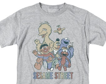 Sesame Street Distressed Colorful Group Athletic Heather Adult Shirts
