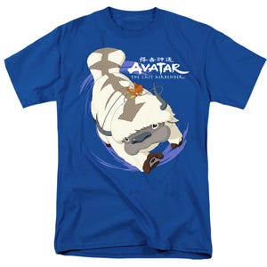 May include: A blue t-shirt with a white and brown cartoon image of a character riding a furry creature. The text "Avatar: The Last Airbender" is printed on the shirt.