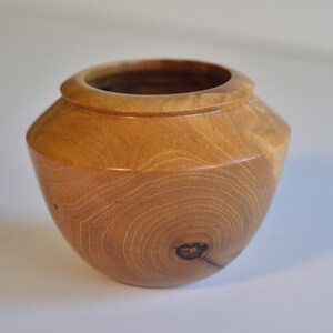 Small Elegant Maple Pot