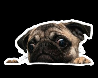 Car Window Decals PUGS RULEI Love My Pug DogStickers Cars Trucks Glass Car Window Decals PUGS RULEI Love My Pug DogStickers Cars Trucks Glass