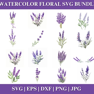 Lavendel SVG-bundel, botanische ontwerpen, lavendel SVG Cricut, commercieel gebruik, Instant Download