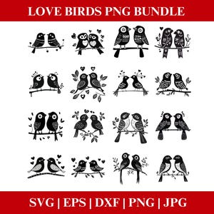 Love Birds Valentines Day PNG Bundle, Love Birds PNG SVG Clipart, Clipart bundle, Valentines bundle Cricut Cut Files Silhouette
