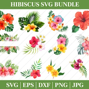 Blumen svg, Blumen svg, Hibiskus svg, tropische Blumen svg, hawaiianische Blumen svg, Hawaii svg, Schnittdatei für Cricut und Silhouette