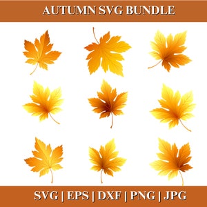 Autumn Leaves SVG, Fall Leaf Clipart Bundle, Maple Leaf Cut File for Cricut Silhouette