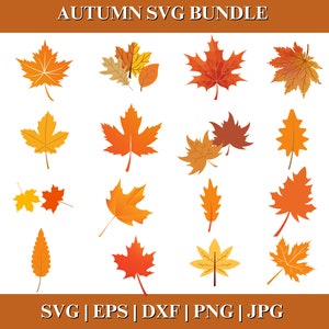Autumn Leaves SVG, Fall Leaf Clipart Bundle, Maple Leaf Cut File for Cricut Silhouette