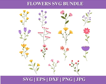 Blumen SVG Bundle, botanische Designs, einfache Blume SVG Cricut, kommerzielle Nutzung, Instant Download