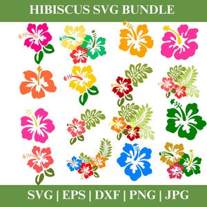 Hibiskus Vektor SVG, Blumendesign, Hibiskus-Svg, Hibiskus-Svg, tropische Blumen-Svg, Hawaii-Blumen-Svg, Hawaii-Svg, Schnittdatei für Cricut und Silhouette