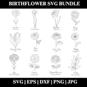 Digitale geboortebloem SVG-bundel, bloemen clipart png, instant download
