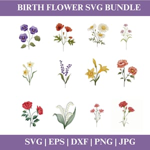 Bundle SVG fleur mois de naissance, fleurs de vecteur, fleur d'anniversaire SVG, usage commercial, Bundle PNG floral, fichiers de coupe Cricut
