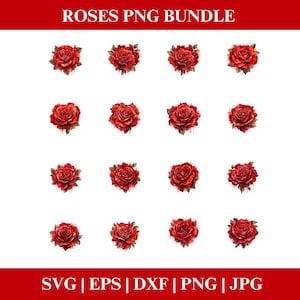 Rose Valentines Day Roses PNG Bundle, Valentines Roses PNG SVG, Rose Clipart bundle, Valentines bundle Cricut Cut Files Silhouette