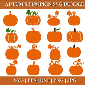 Pumpkin SVG, Autumn Pumpkin PNG Bundle, Pumpkin Vector, Pumpkin Clipart, Cut File for Cricut Silhouette