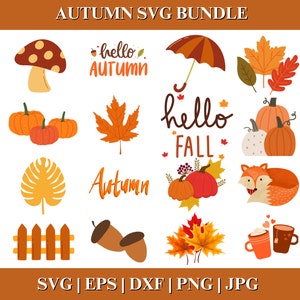 Autumn SVG Bundle, Fall Thanksgiving Designs, Cricut Silhouette PNG