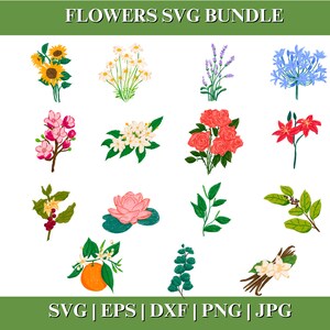 Flower SVG Bundle, Flower Cut File, Flowers SVG, Spring SVG, Flower Silhouette Clipart, Instant Download, Digital Download