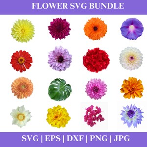 Flowers SVG Bundle, Floral PNG Cricut, Flower PNG, Cricut Cut Files Silhouette, Digital Download