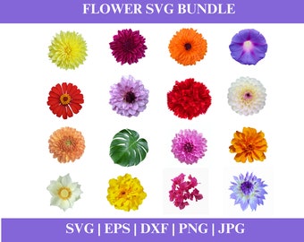 Pacote SVG de flores, Cricut PNG floral, PNG de flores, silhueta de arquivos de corte Cricut, download digital
