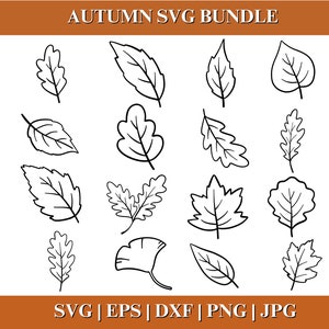 Autumn Leaves Vector SVG, Fall Leaf Outline Clipart Bundle, Maple Leaf Cut File for Cricut Silhouette