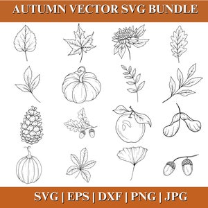 Autumn Vector SVG Bundle, Fall Leaf Outline Clipart Bundle, Autumn Leaves vector, Maple Leaf Cut File for Cricut Silhouette