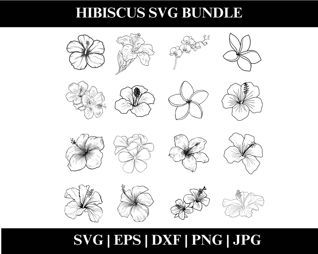 Hibiscus Vector SVG, Flower Svg, Hibiscus Svg, Tropical Flower Svg ...