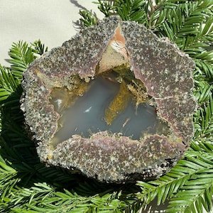 May include: A cross-section of a geode with a gray and yellow interior, surrounded by a dark brown and textured outer layer. The geode is displayed on a bed of green pine needles, creating a natural and earthy aesthetic.