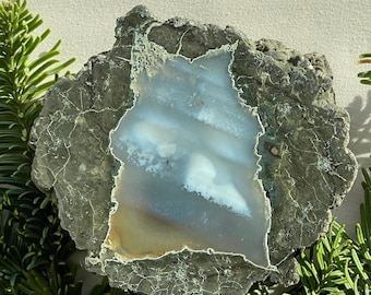 Valley View Oregon Thunderegg Half, Blue Gray Agate with Fluffy Clouds #P117