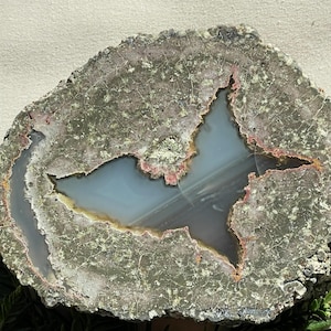 Oregon Lucky Strike Thunderegg Half - Waterline Agate with Flying Bird Formation - Natural Agate Specimen–Collector Thunderegg #PE504