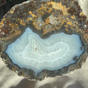 Large Coconut Geode/Nodule half, cut and polished #P112