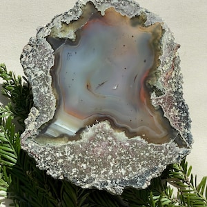May include: A polished agate geode slice with a gray, white, and orange interior. The outer edge is a rough, textured gray with hints of pink and brown. Green pine needles are arranged around the geode.