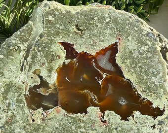 Polished Oregon Lucky Strike Thunderegg Half, Warm Brown Agate with Moss and Small Druzy Pocket #P107-1