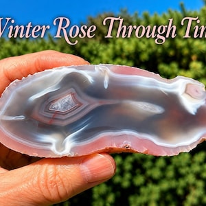 May include: A polished agate slice featuring translucent pink and white banding with a central crystalline cavity. The text "Winter Rose Through Time" is displayed in a light pink script font across the top of the image.