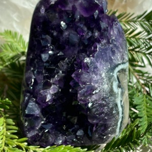 May include: A large amethyst geode with a purple and white crystal formation. The geode is sitting on a bed of green foliage.