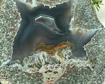 Polished Oregon Thunderegg Half – Lucky Strike Moss Agate Landscape #Y210-1