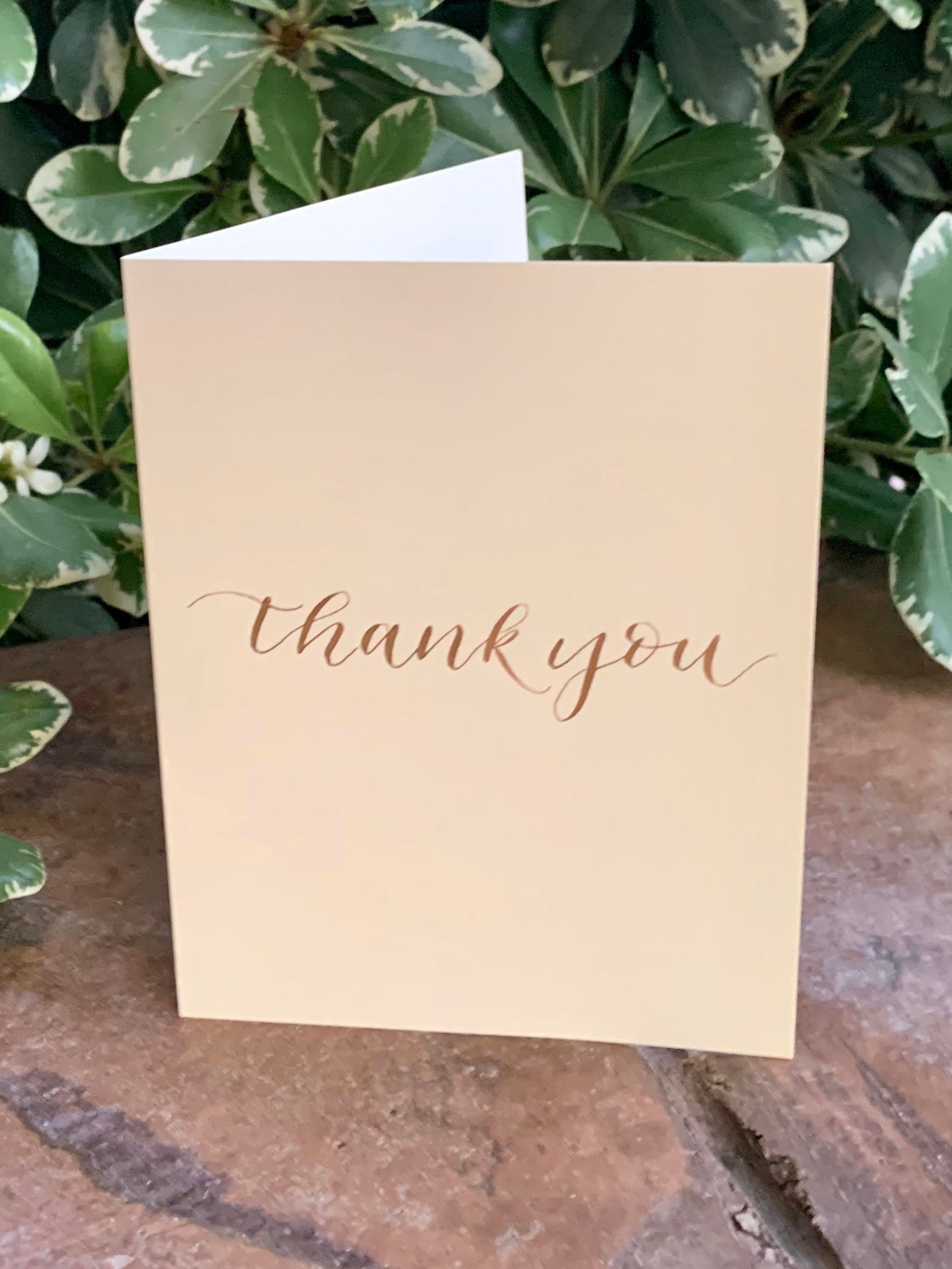 5 Pack Handlettered Thank You Notes with Envelopes / Set of Etsy