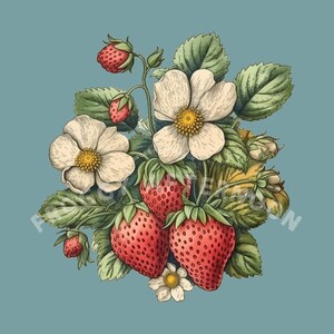 Transparent Vintage Strawberry PNG / Old-Fashioned Strawberries with Flowers Art for Cards, Crafts, Prints / Fruit Clipart Digital Download