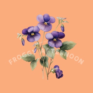 Transparent Vintage Sweet Violet PNG / Common Violet Flower Clipart Digital Download / Cute Garden Blossom Art / Viola Odorata Bloom