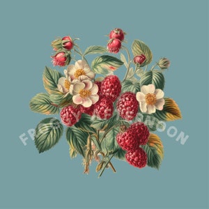 Op de afbeelding: Een boeket met roze en witte bloemen met groene bladeren en rode frambozen. De bloemen zijn wit met roze centra en de frambozen zijn dieprood.