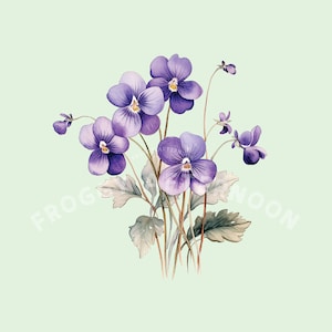 PNG trasparente vintage dolce viola / fiore viola comune Clipart Digital Download / arte del fiore del giardino carino / Viola Odorata Bloom