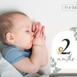 Cartes d'étape, animal de safari de verdure, téléchargements numériques, Pdf, jpg, accessoire photo, compte progressif, cartes d'âge de bébé, décoration de chambre d'enfant, baby shower