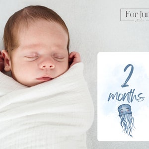 Cartes d'étape, sous l'animal marin, téléchargements numériques, Pdf, accessoire photo, décompte, cartes d'âge de bébé, décoration de chambre d'enfant, milieu du siècle, baby shower