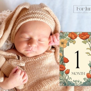 Cartes d'étape, vintage floral orange, téléchargements numériques, Pdf, jpg, accessoire photo, décompte, carte d'âge de bébé, décoration de chambre d'enfant, fleur, baby shower