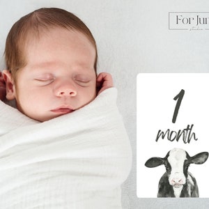 Cartes jalons, animal de la ferme, téléchargements numériques, Pdf, accessoire photo, décompte, cartes d'âge de bébé, décoration de chambre d'enfant, milieu du siècle, baby shower