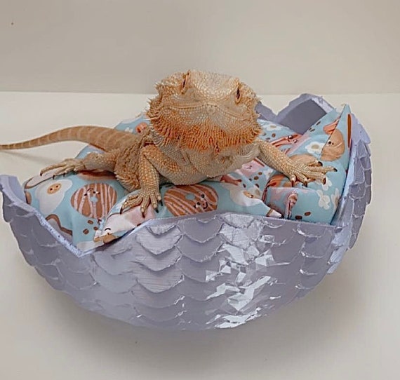 Dragon Egg Bed Bearded Dragon Bed Reptile Sofa Small Pet Etsy