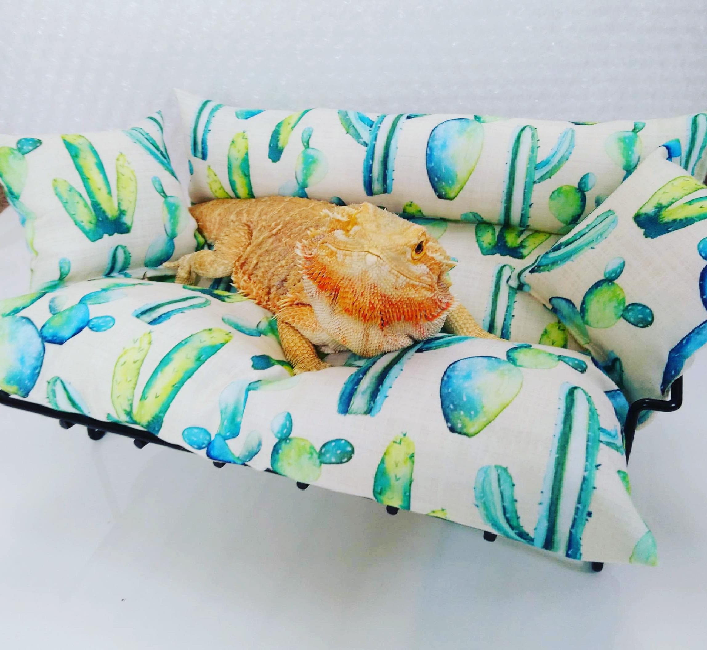 Bearded dragon couch lizard lounger Etsy