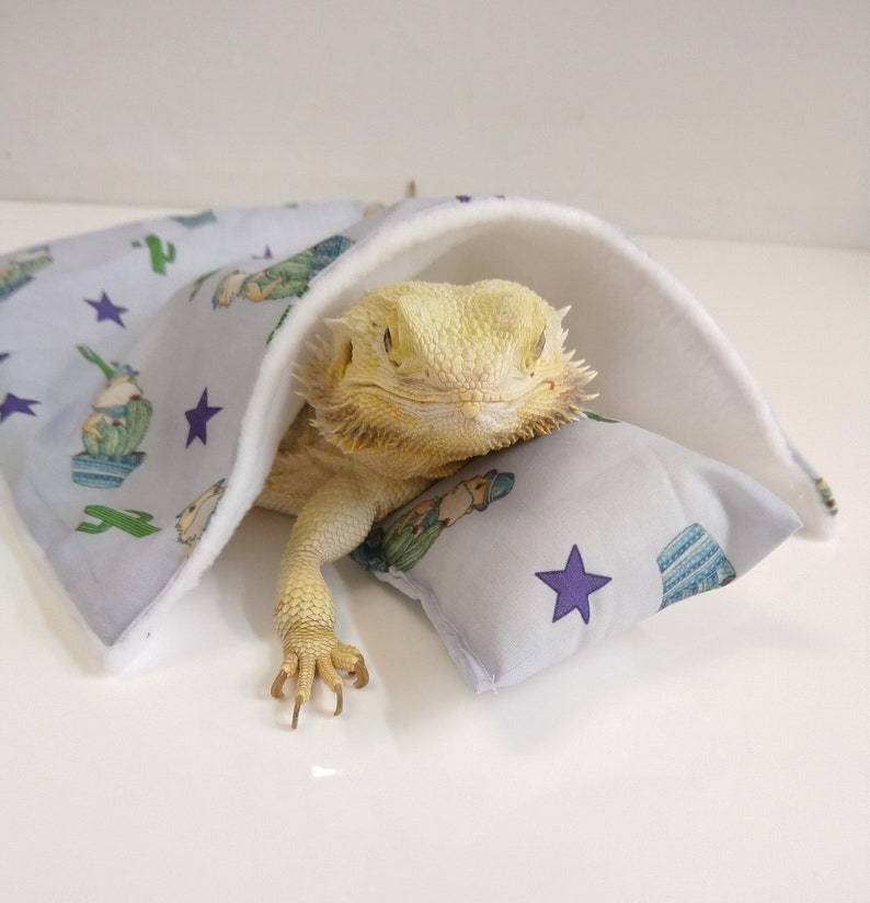 Bearded dragon bedding blanket and pillow snooze set Etsy