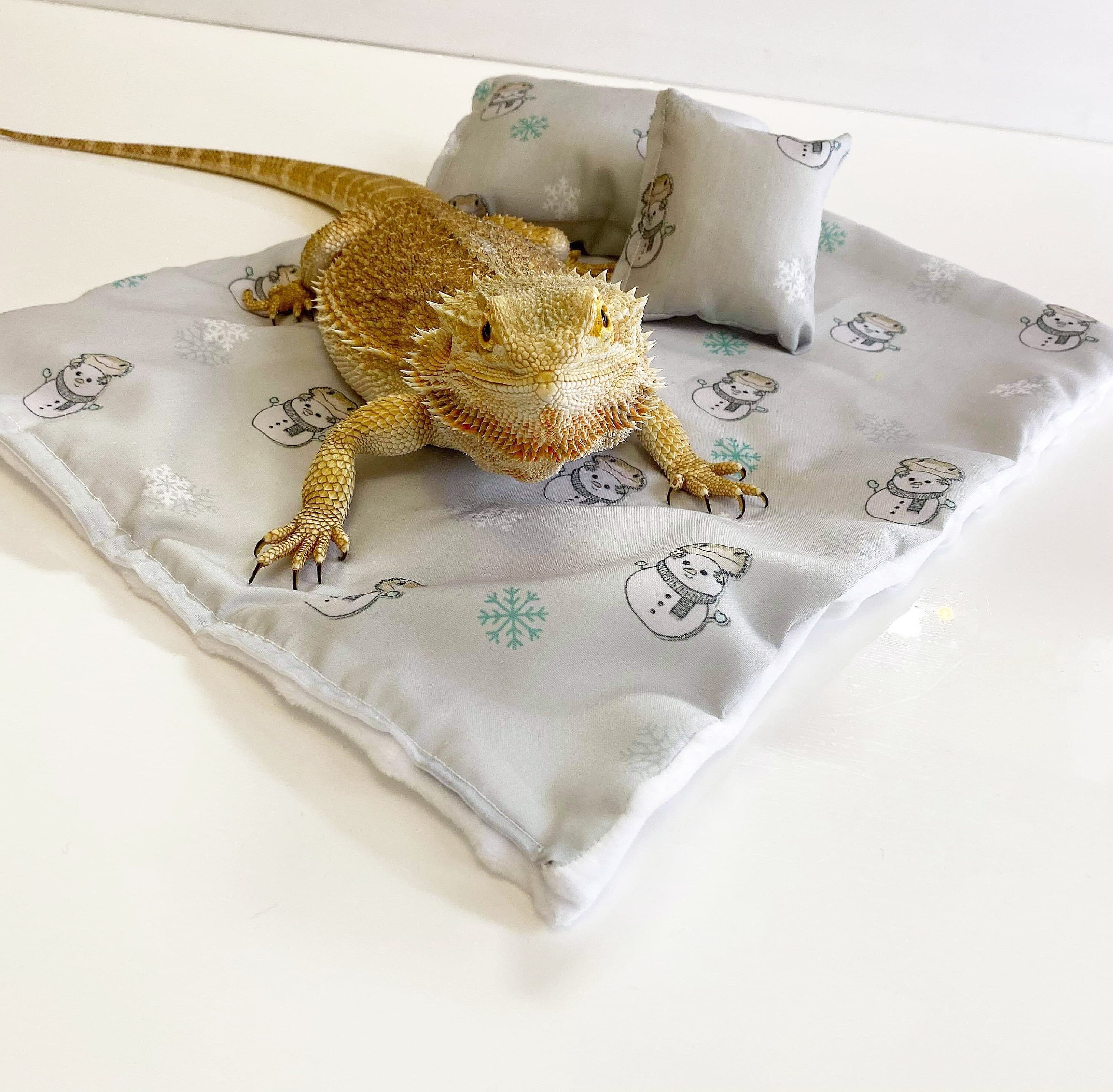 Bearded dragon brumation bed set Etsy