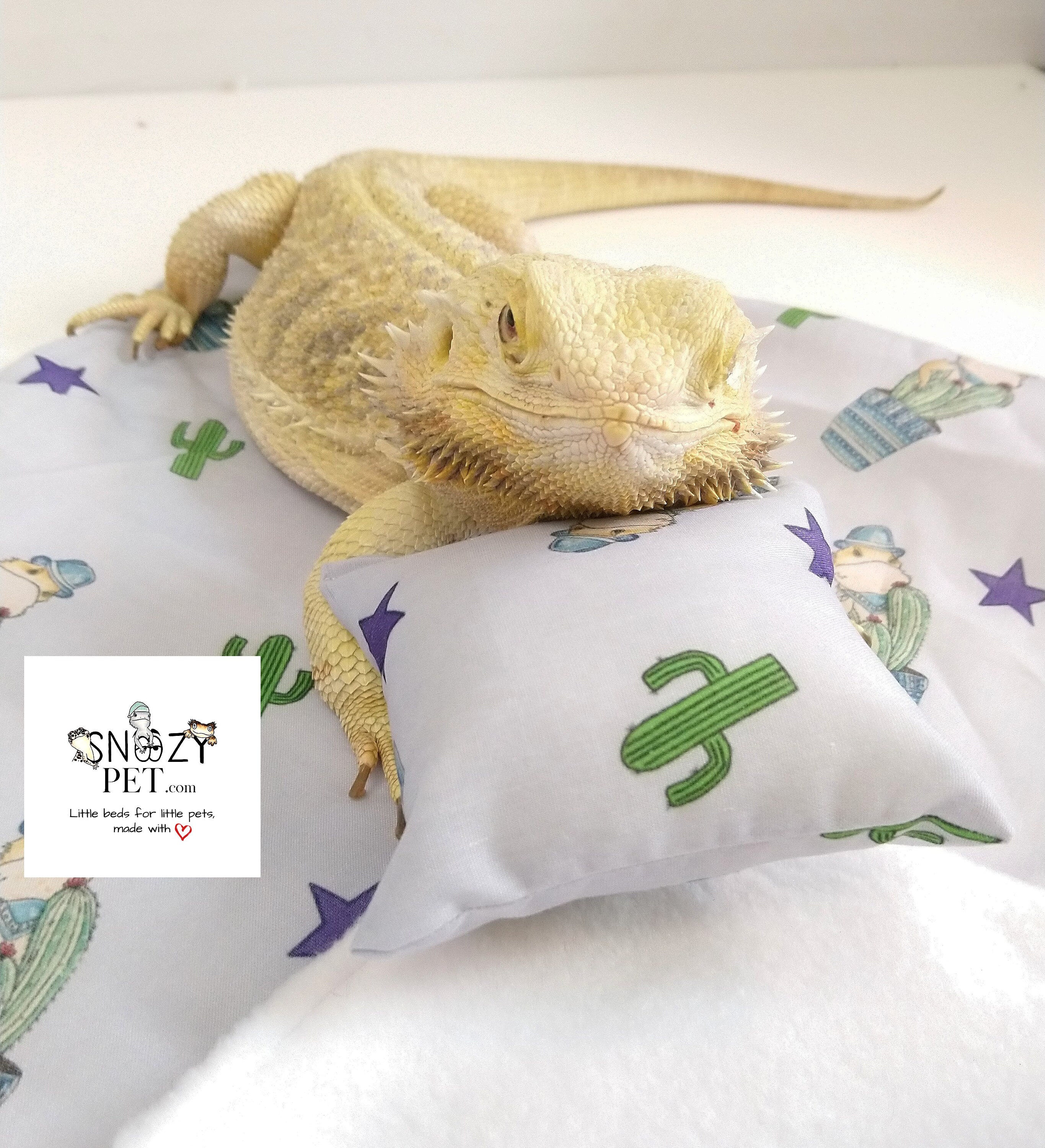 Bearded dragon bedding blanket and pillow snooze set Etsy