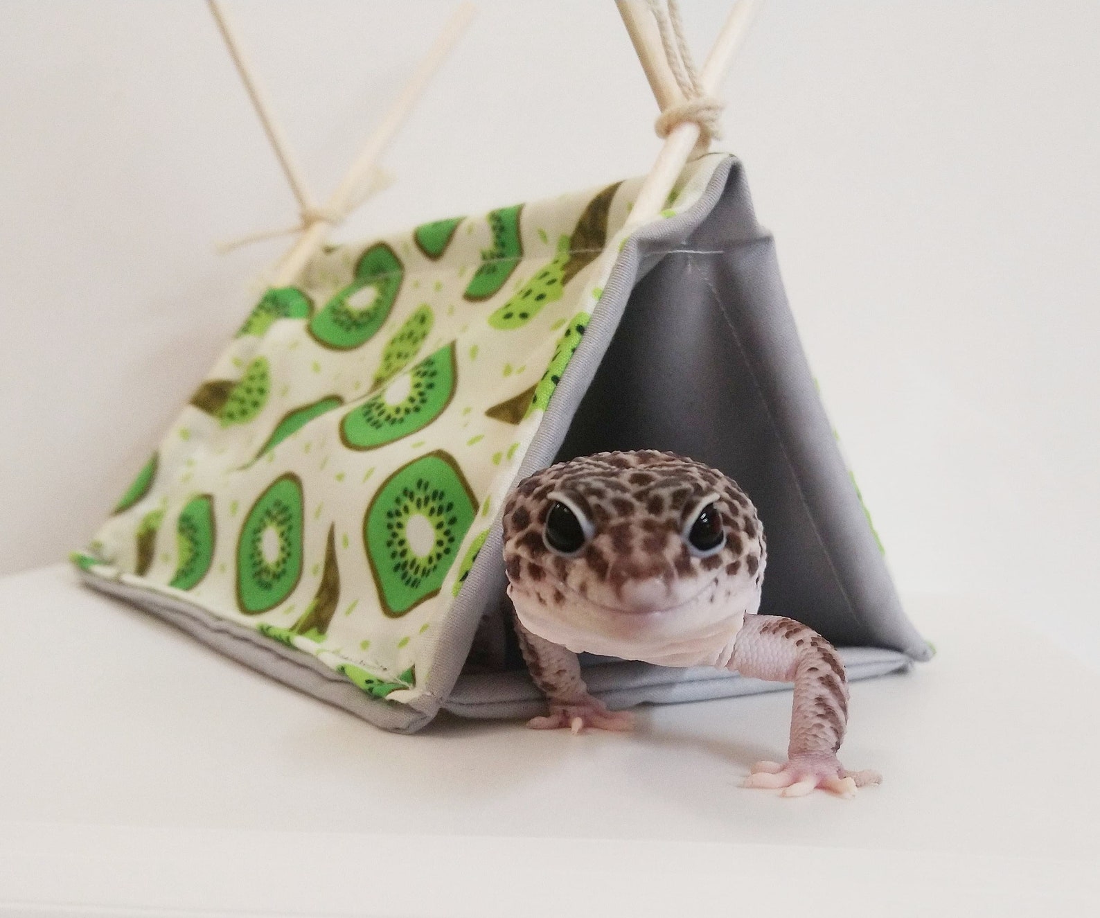 leopard gecko hides diy leopard gecko hides diy