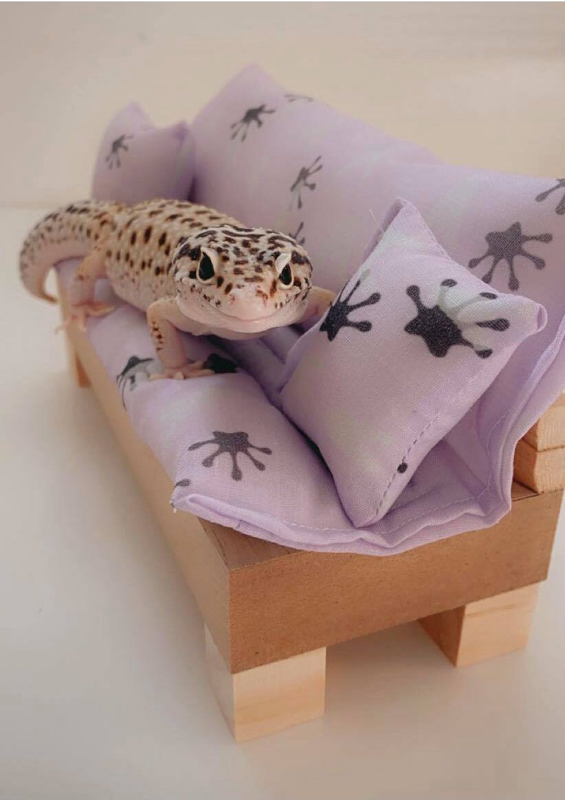 Leopard gecko bed lizard sofa snooze sofa Etsy