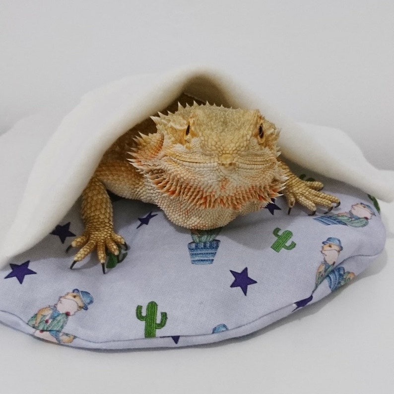 Bearded dragon bed..beardie puff Etsy