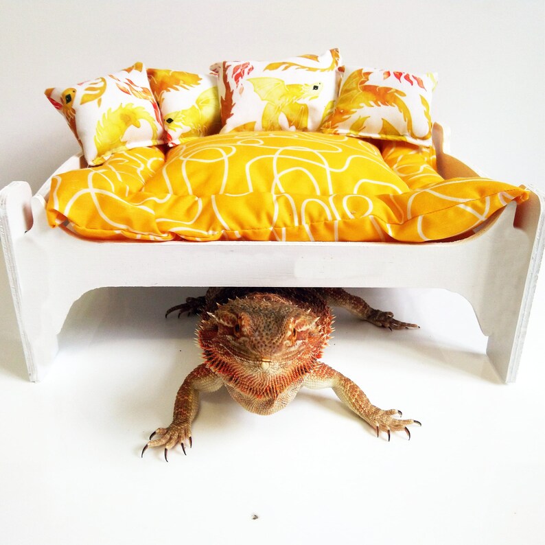What Can Bearded Dragons Use For Bedding at David Cohee blog