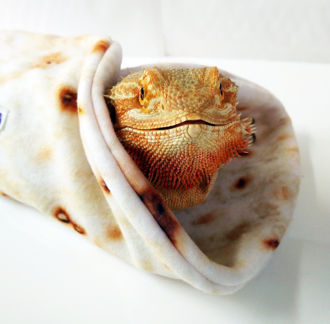 Bearded dragon personalised blanket Beardie burrito Etsy